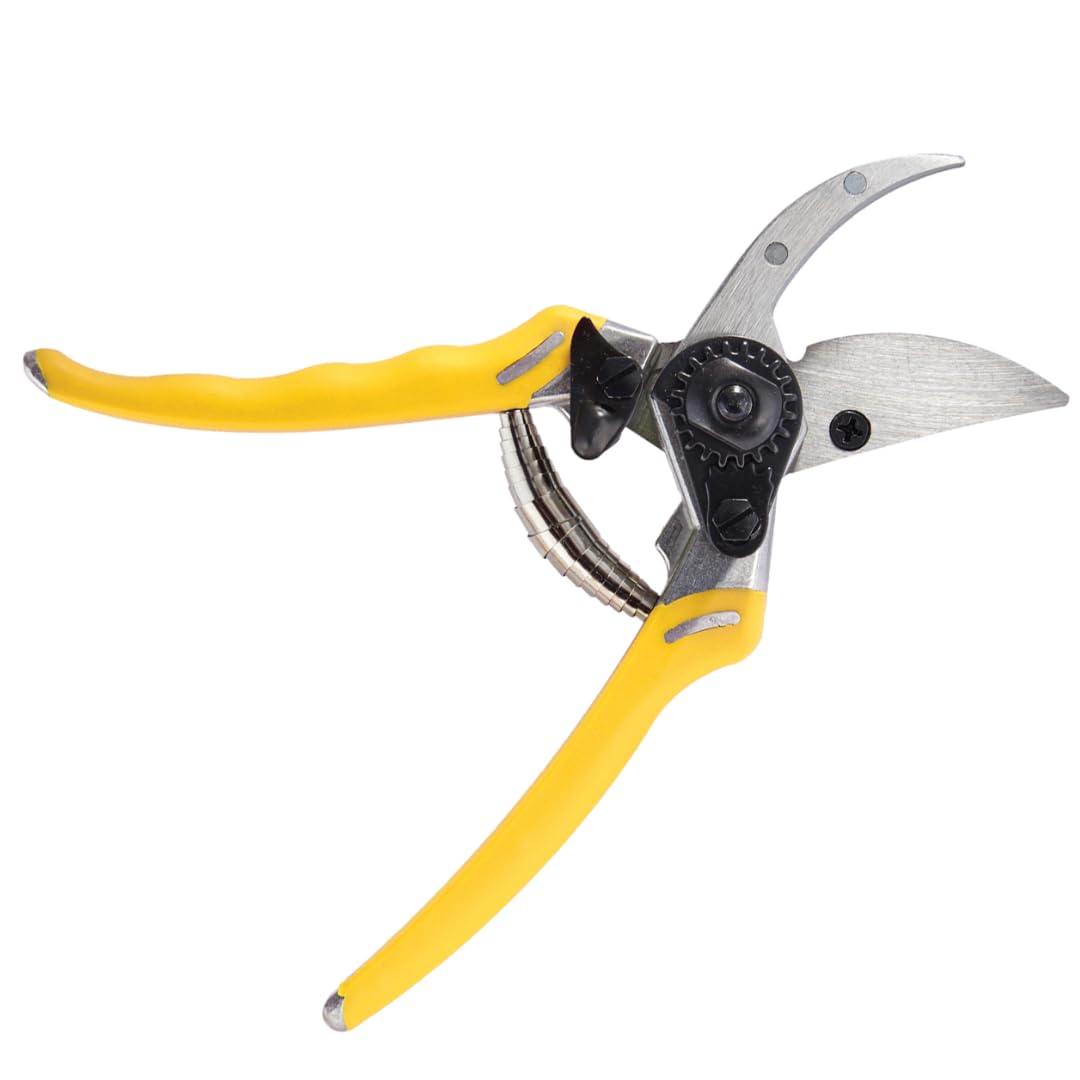 Dramm ColorPoint Stainless Steel Compact Garden Pruning Shears, Hand Pruner, Garden Clippers, with Heavy Duty Blade and Easy grip Handle, Green