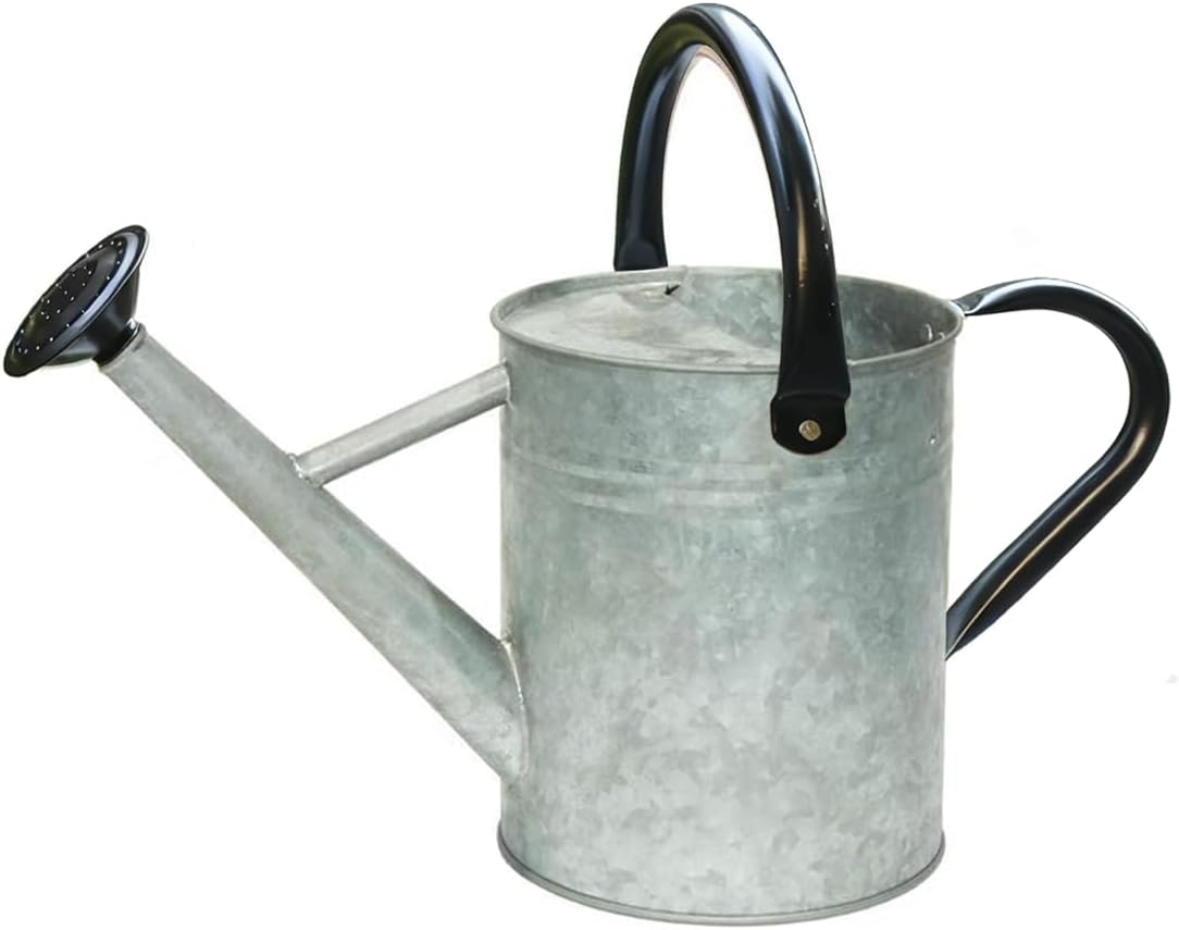 Metal Watering Can 1 Gallon for Indoor and Outdoor Plants Red