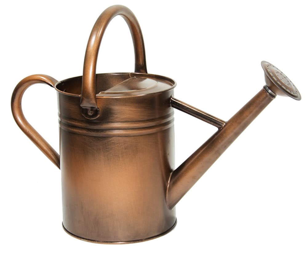 Metal Watering Can, 1 Gallon for Outdoor Garden Plants,EGreen