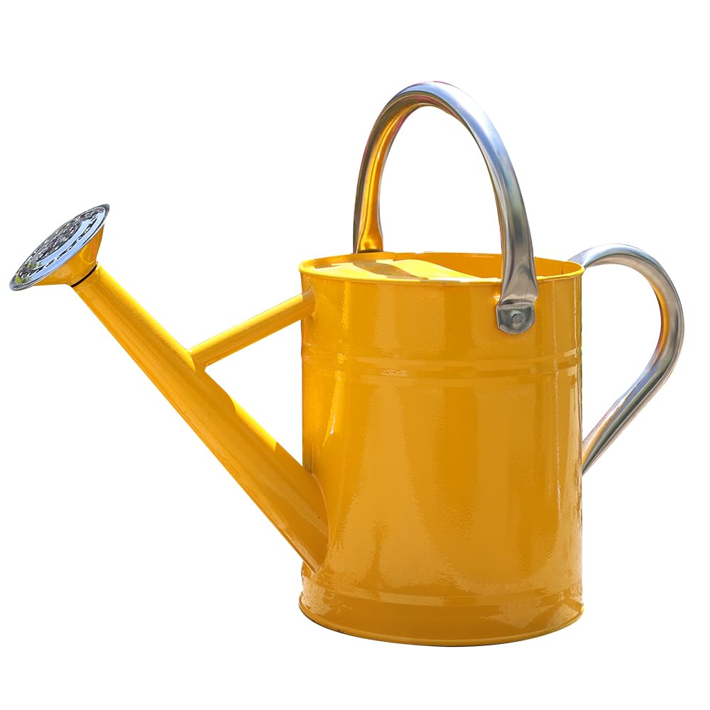 Metal Watering Can, 1 Gallon for Outdoor Garden Plants,EGreen