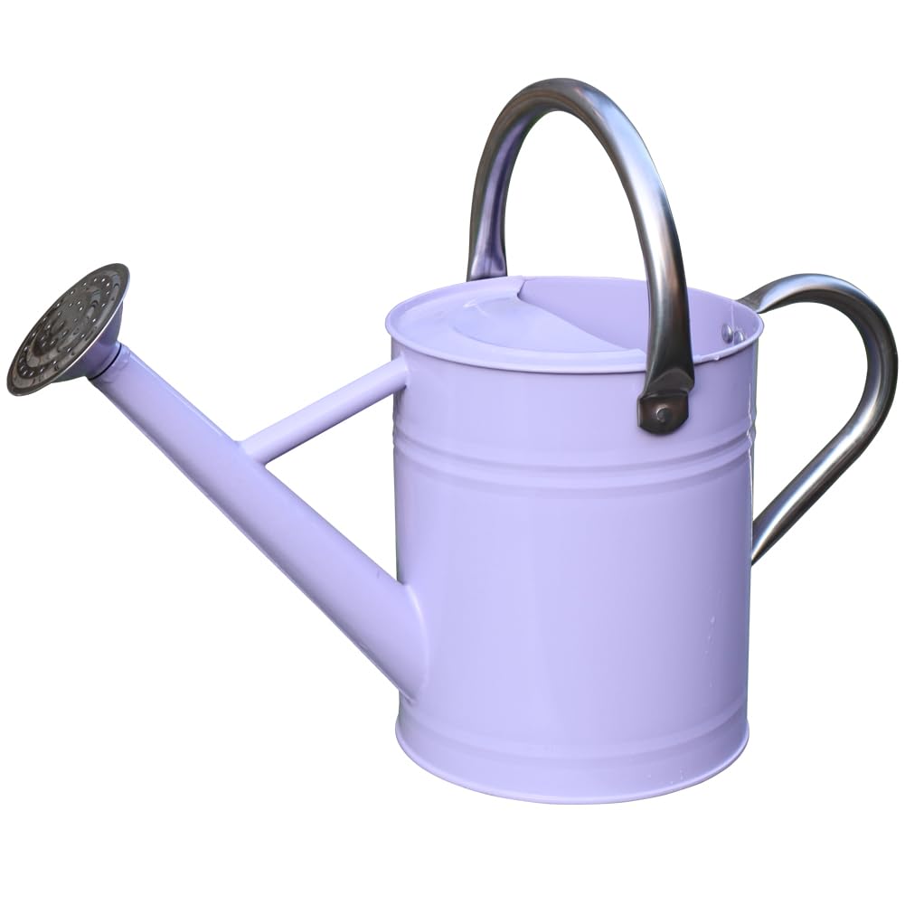 Metal Watering Can, 1 Gallon for Outdoor Garden Plants,EGreen