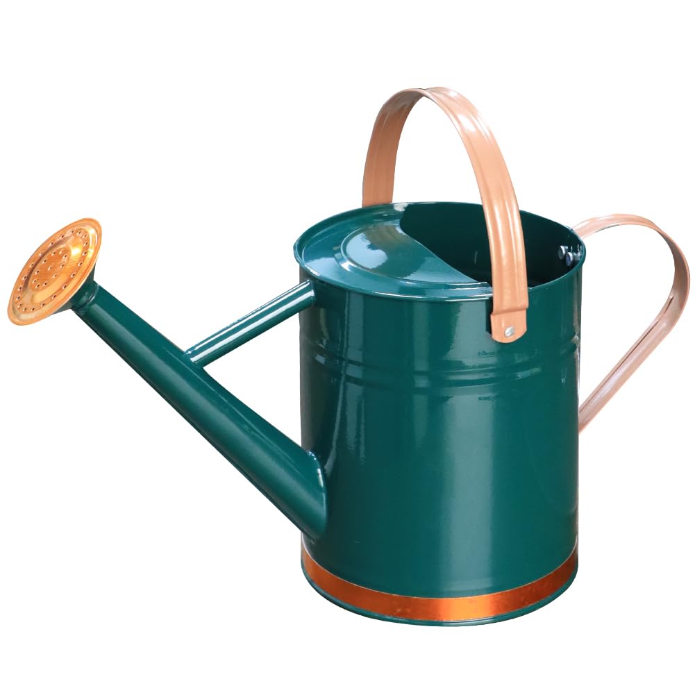 Metal Watering Can, 1 Gallon for Outdoor Garden Plants,EGreen