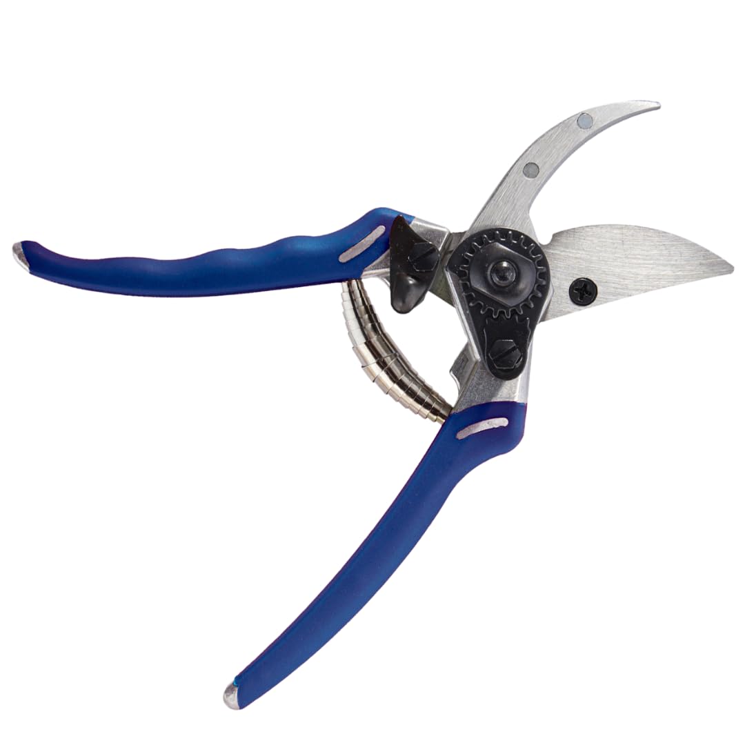 Dramm ColorPoint Stainless Steel Compact Garden Pruning Shears, Hand Pruner, Garden Clippers, with Heavy Duty Blade and Easy grip Handle, Green
