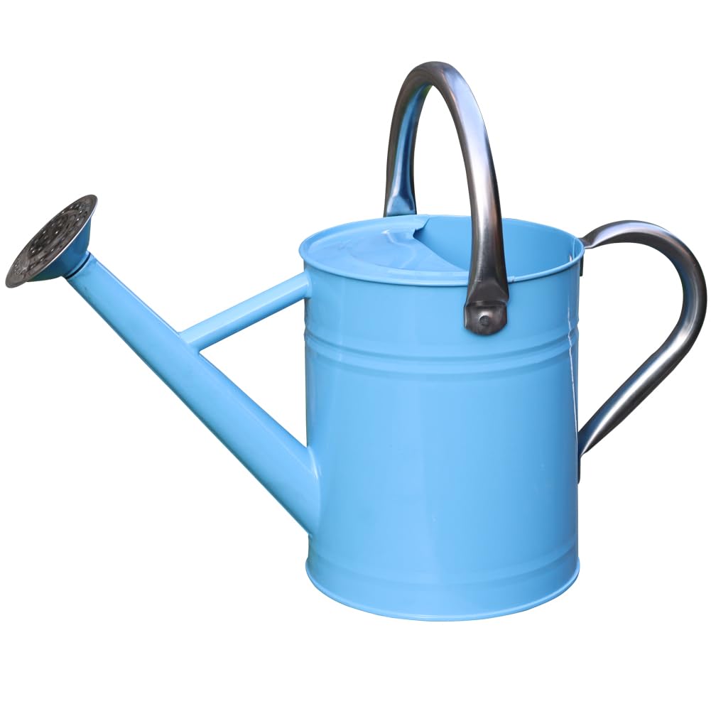 Metal Watering Can, 1 Gallon for Outdoor Garden Plants,EGreen