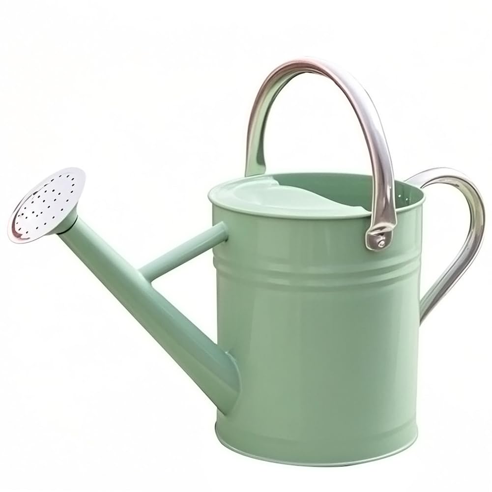 Metal Watering Can, 1 Gallon for Outdoor Garden Plants,EGreen