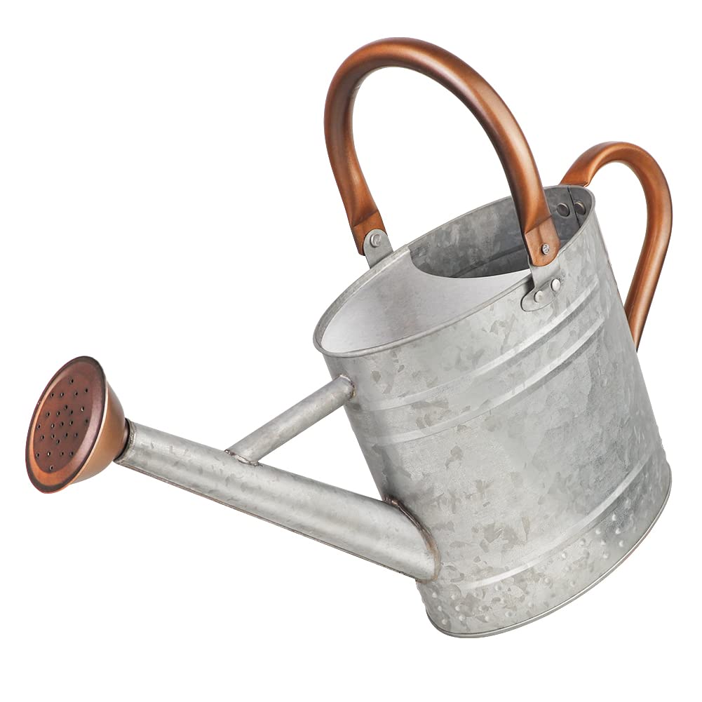 1 Gallon Metal Watering Can with Removable Spout, Nice Galvanized Steel Water Can with Embossed Design for Indoor and Outdoor Plants