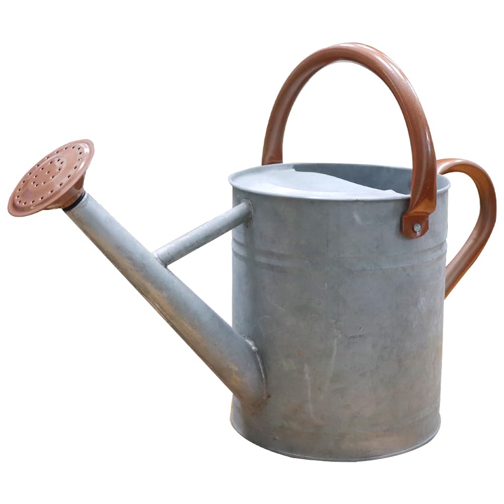 Metal Watering Can, 1 Gallon for Outdoor Garden Plants,EGreen