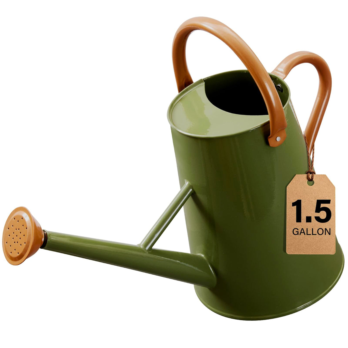 Watering Can for Outdoor&Indoor Plants,1.5 Gallon,Black