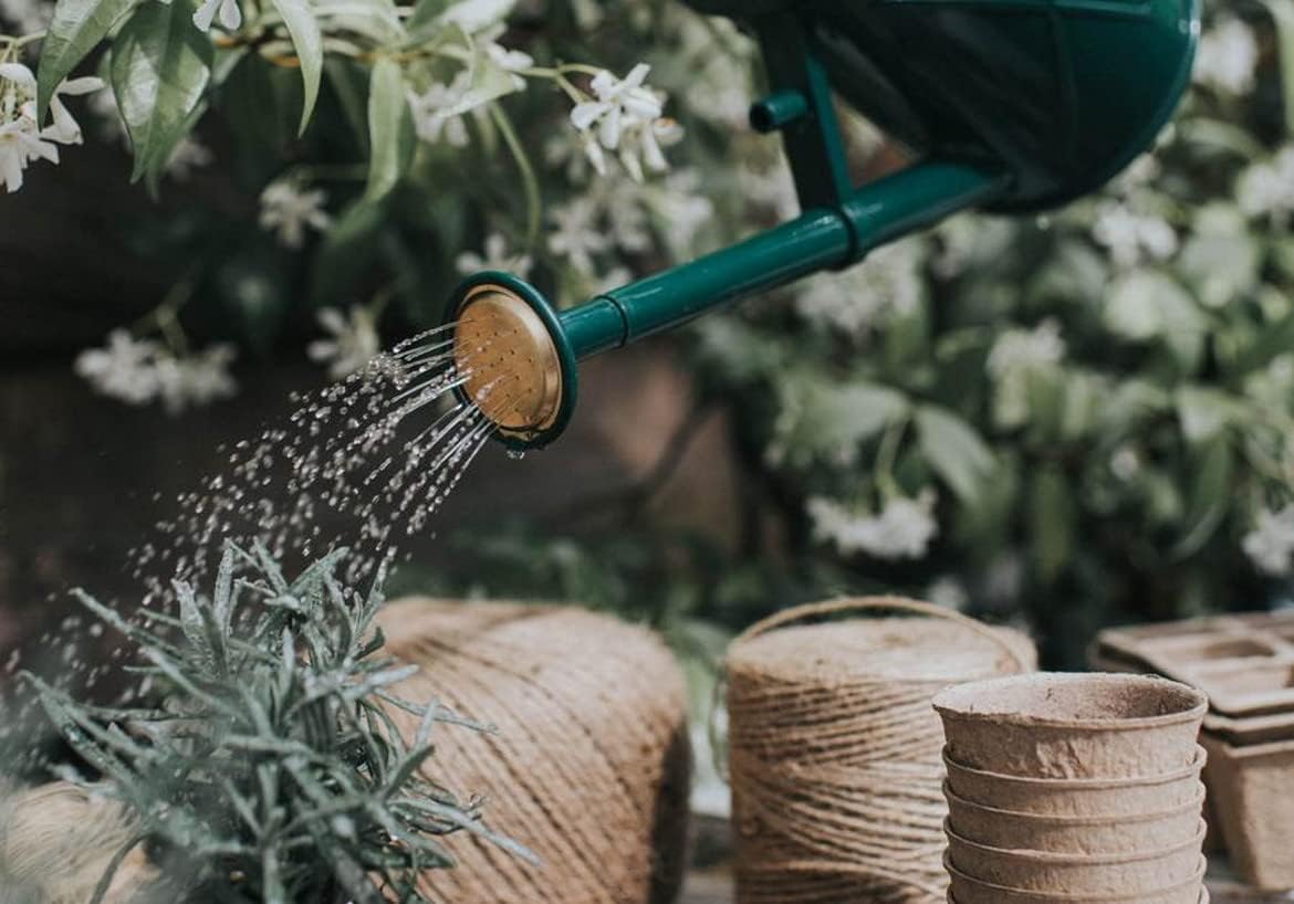 Indoor Plastic Watering Can | The HAWS The Bartley Burbler - Two Pint | Pot Waterer | Fine Spray Rose - Green