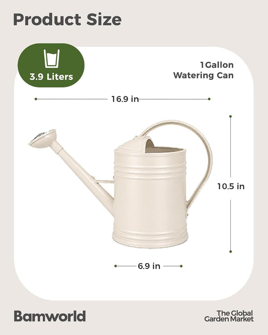 Bamworld 1 Gallon Watering Can Outdoor Indoor Plants Plastic Lightweight