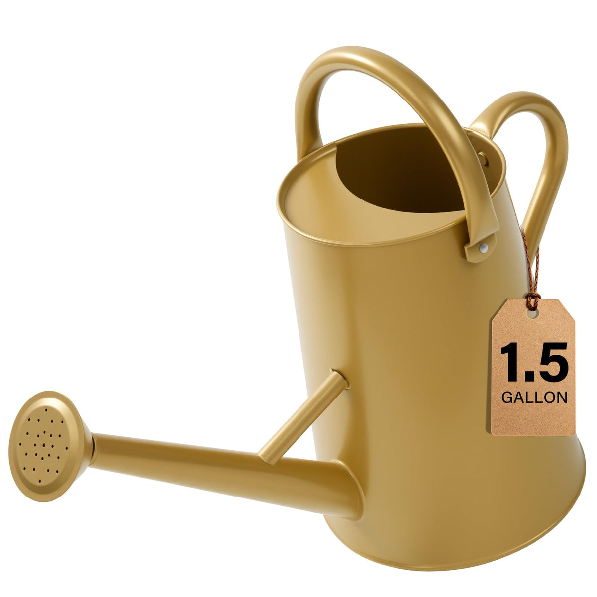 Watering Can for Outdoor&Indoor Plants,1.5 Gallon,Black