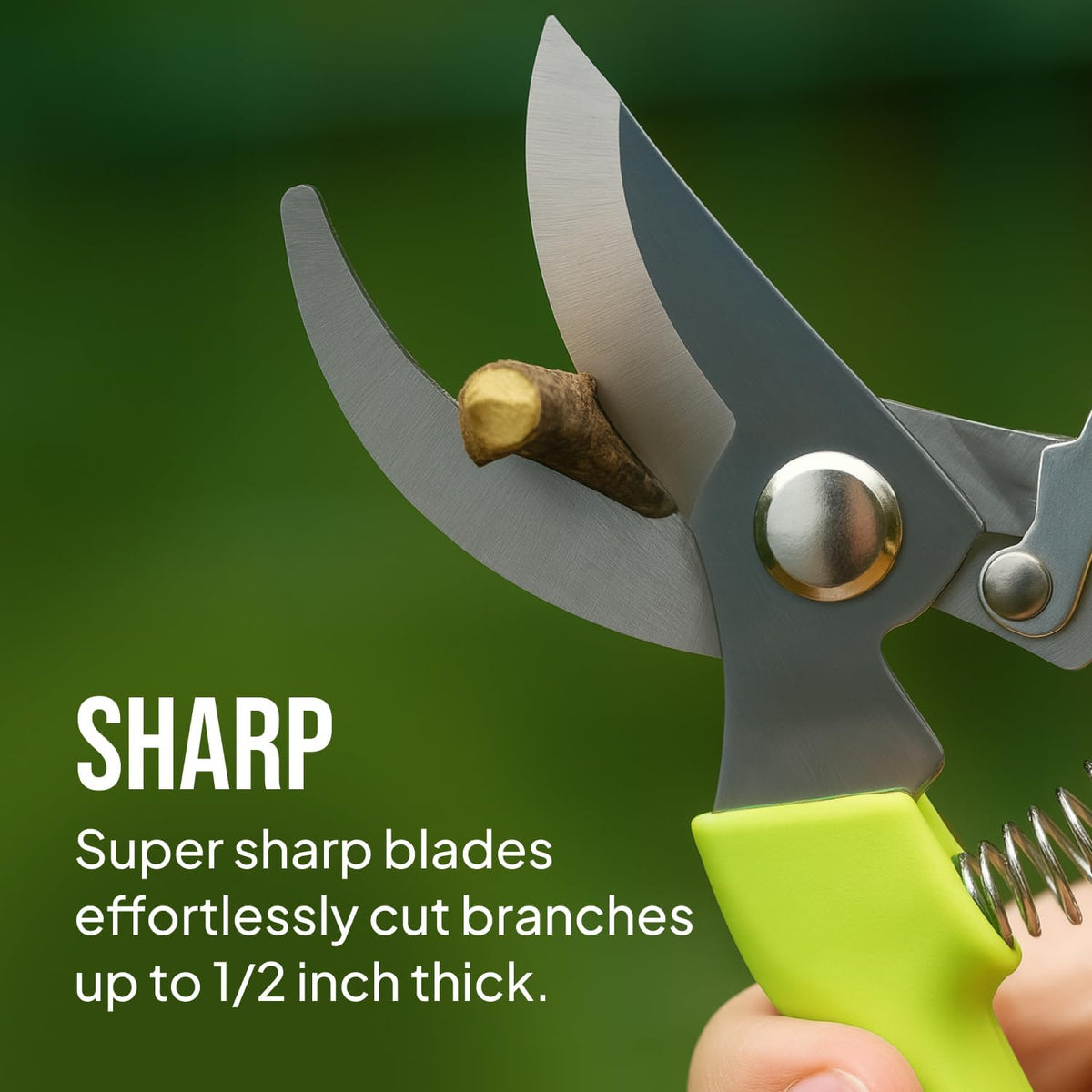 2-Pack Stainless Steel Gardening Scissors, Pruning Shears and Clippers for Gardening
