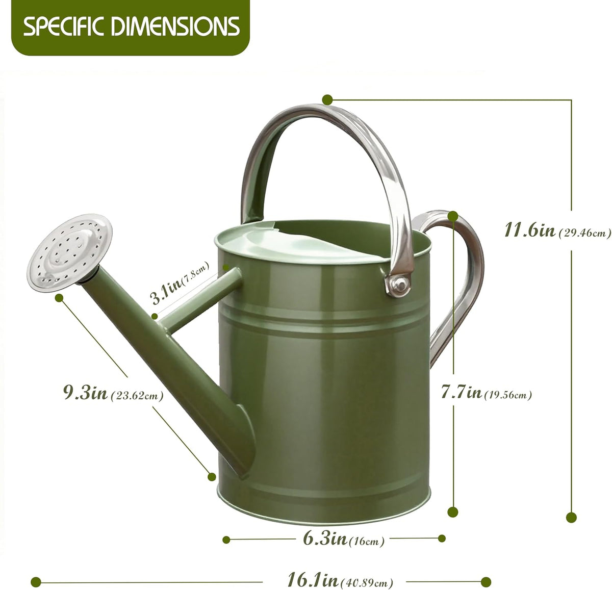 Metal Watering Can, 1 Gallon for Outdoor Garden Plants,EGreen
