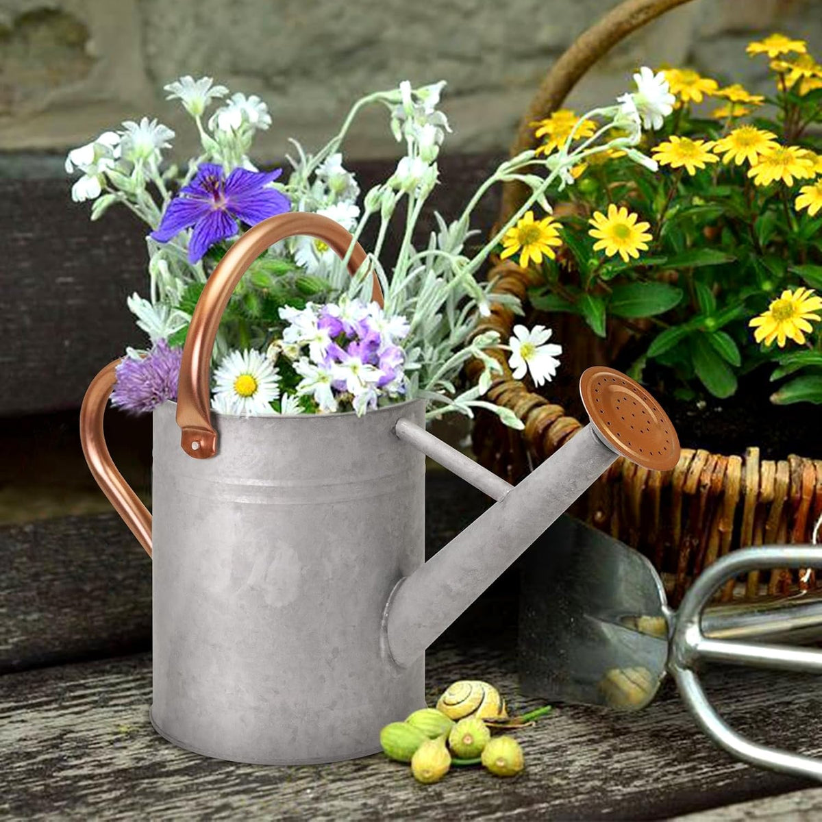 Metal Watering Can with Removable Spout, Galvanized Watering Can, Perfect for Indoor Use and for Outdoor Use (1 Gallaon, Metal)