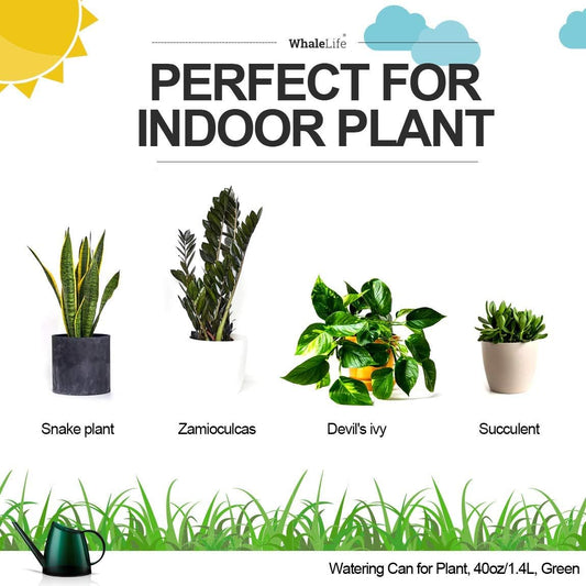WhaleLife Small Indoor Plant Watering Can - 1.4L Dark Green Long Spout