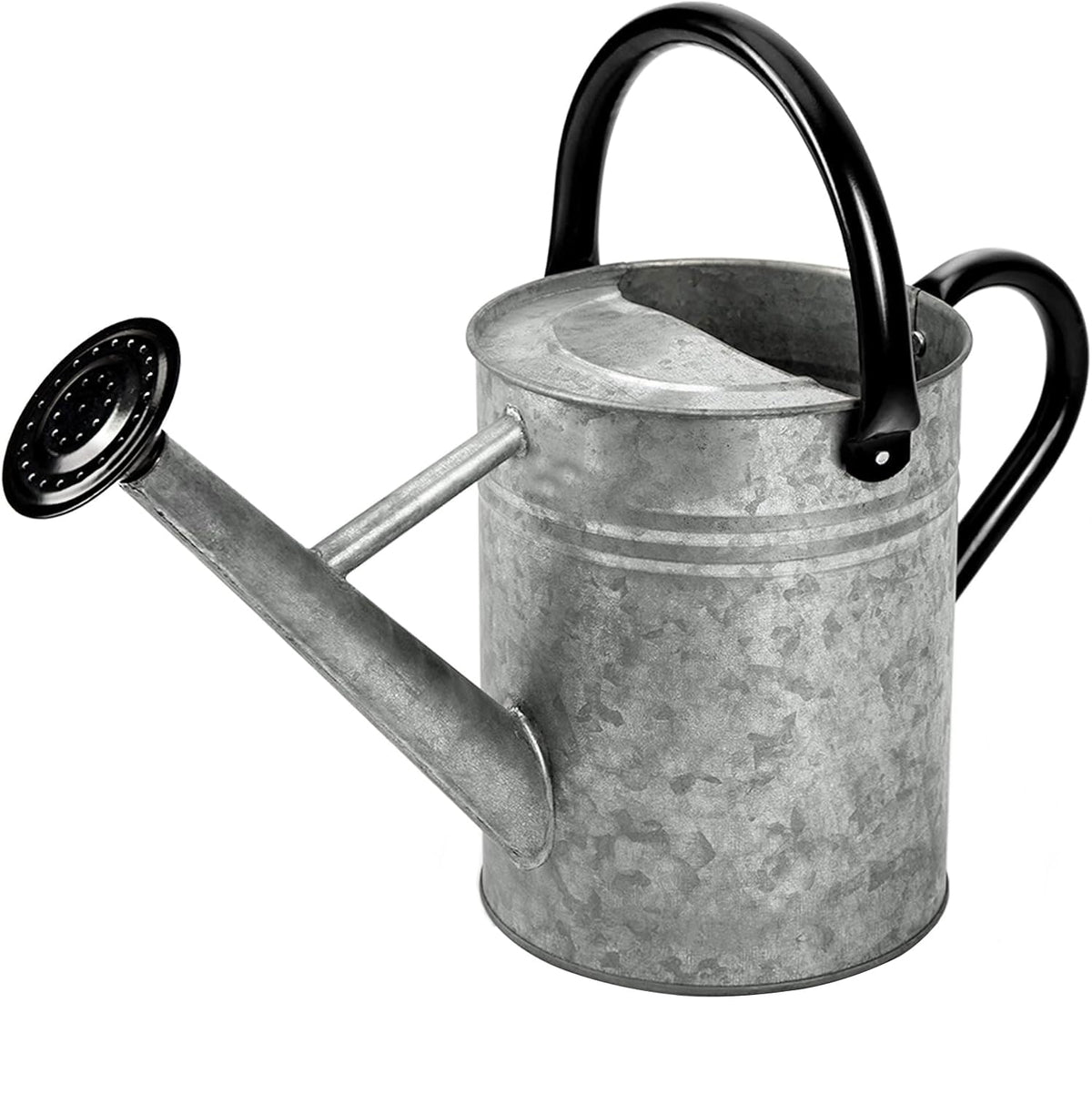 Metal Watering Can, 1 Gallon for Outdoor Garden Plants,EGreen