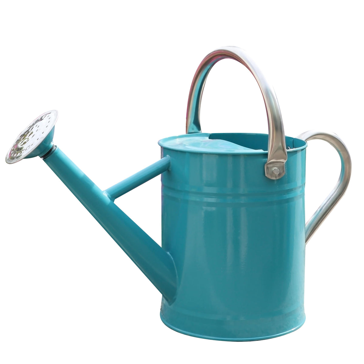 Metal Watering Can for Outdoor Plants, Watering Can Decor 1 Gallon (GB)