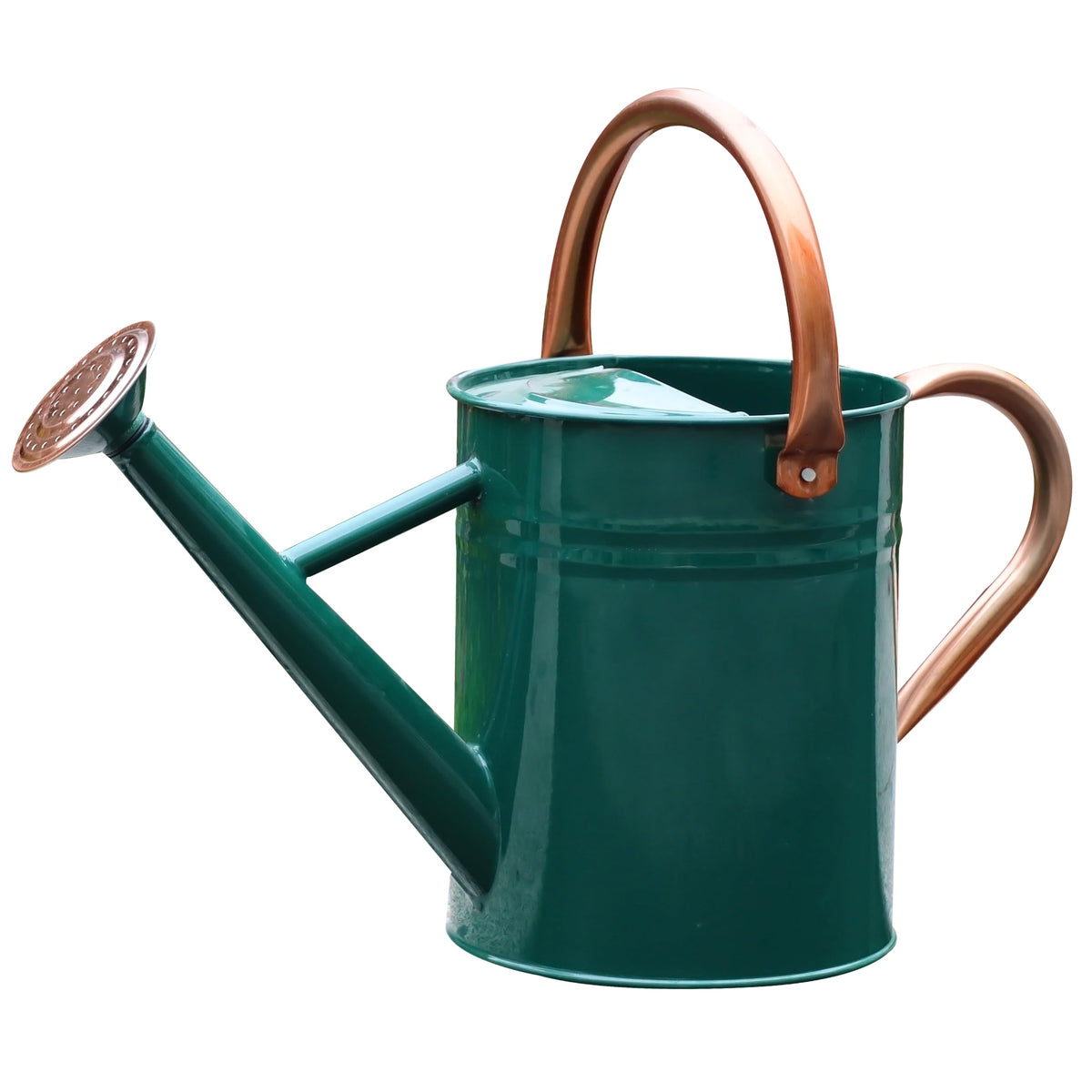 Metal Watering Can for Outdoor Plants, Watering Can Decor 1 Gallon (GB)