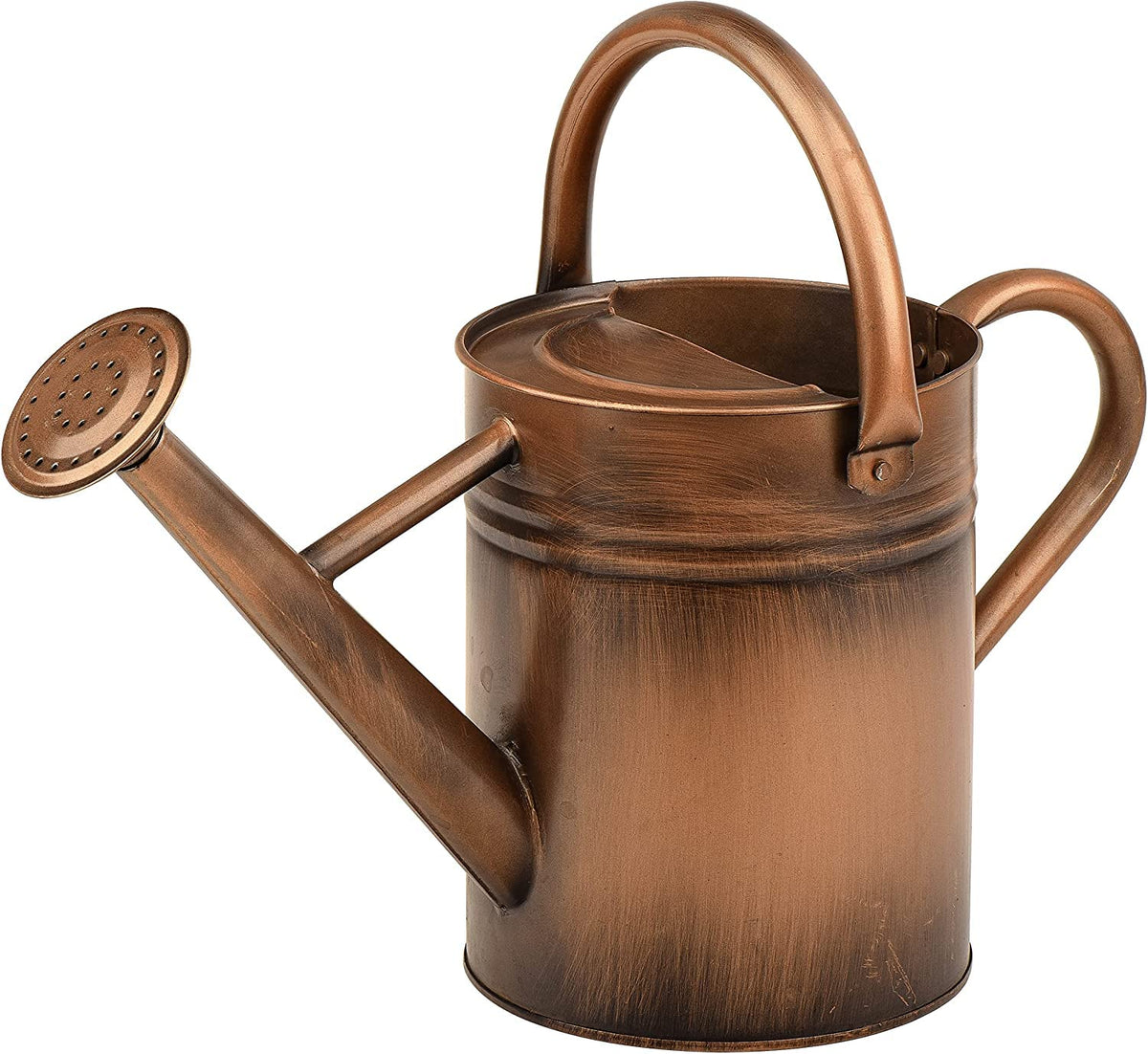 Metal Watering Can for Outdoor Plants, Watering Can Decor 1 Gallon (Green)