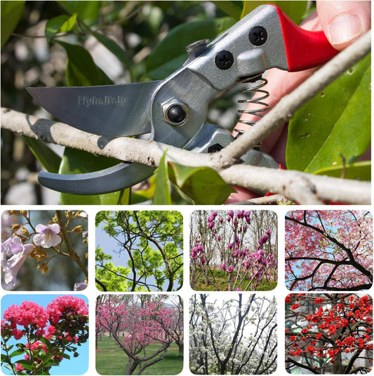 Pruning Shears with Stainless SK5 Steel Blades+Straight Tip Gardening Shears Garden Shears Garden Clippers Florist Scissors Hand Pruners Garden Tools Gardening Tools Set,Red