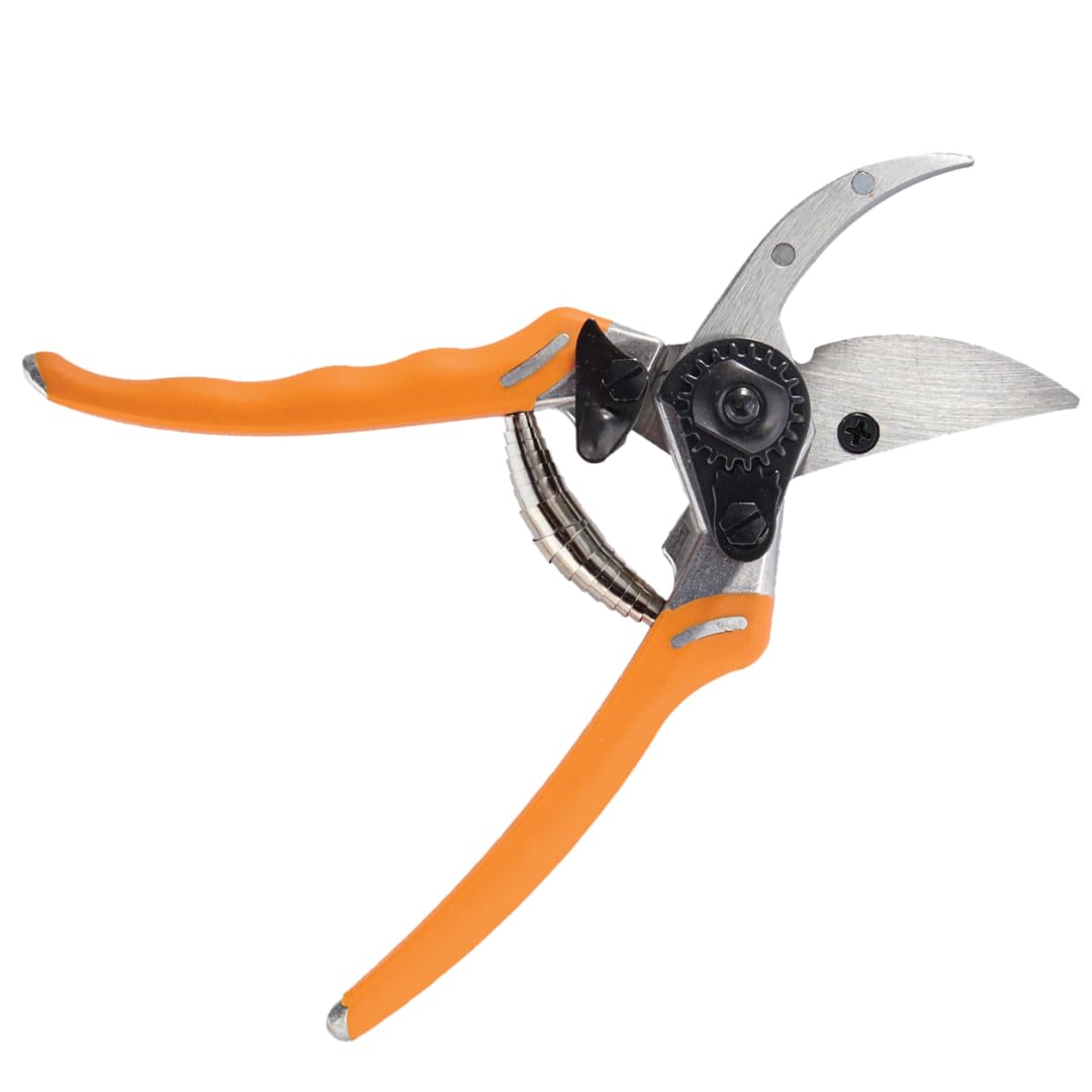 Dramm ColorPoint Stainless Steel Compact Garden Pruning Shears, Hand Pruner, Garden Clippers, with Heavy Duty Blade and Easy grip Handle, Green