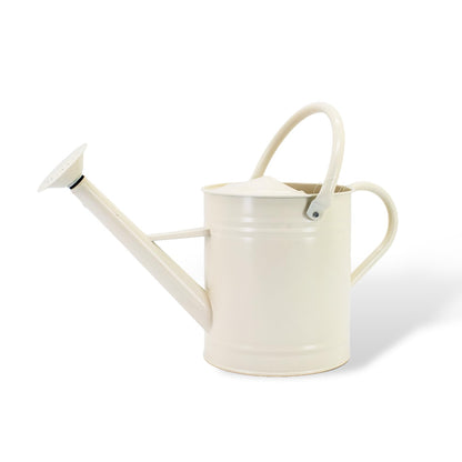 1 Gallon Watering Can, Metal Watering Can with Removable Spout, Farmhouse Galvanzied Water Can, Nice Plant Water Can for Indoor Use and for Outdoor Use