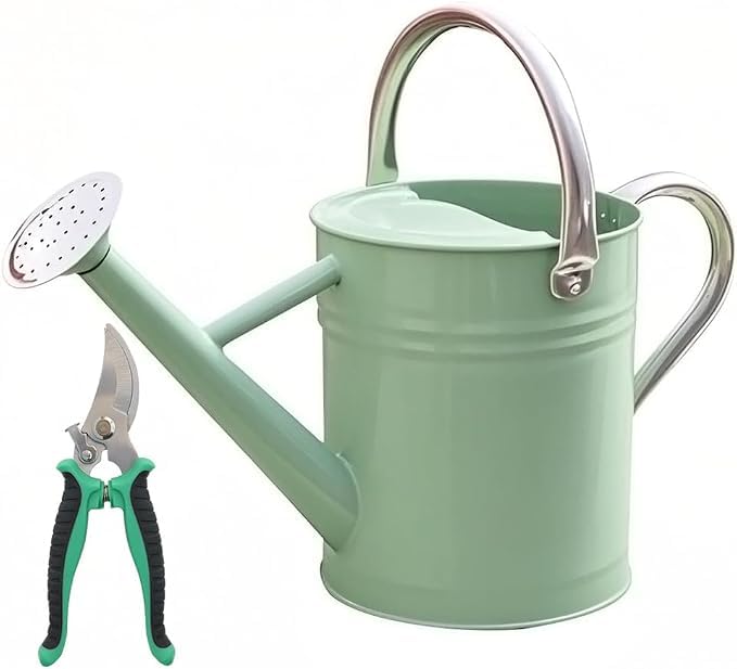 Metal Watering Can 1 Gallon for Outdoor Garden Plants, CGreen