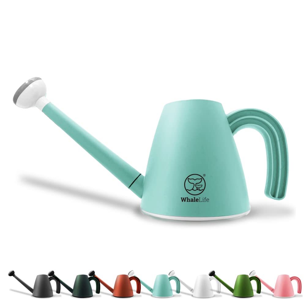 Indoor Plant Watering Can Long Spout for House Plants 2L/67oz Gray
