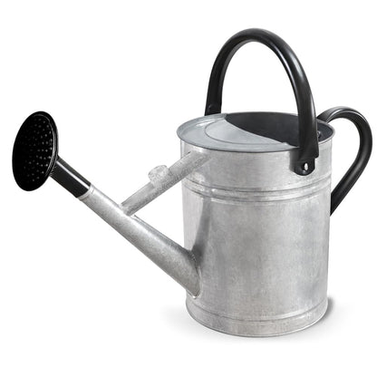 1 Gallon Metal Watering Can with Removable Spout, Nice Galvanized Steel Water Can for Indoor and Outdoor Plants (House Plants)
