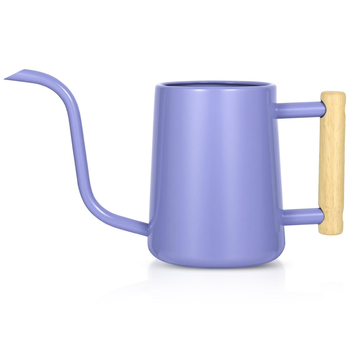 Watering Can Indoor Plants, 35 oz/1000 ml Metal Stainless Steel Watering Can Pot with Long Spout for Indoor House Plants Bonsai Outdoor Garden Flower Decorative (Sage Green)