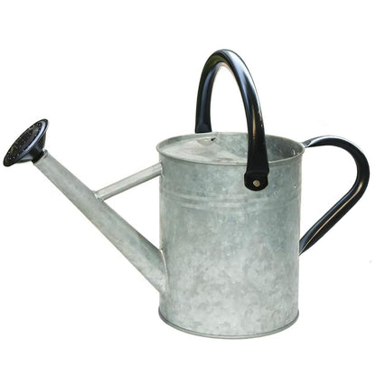 Metal Watering Can 1 Gallon for Indoor and Outdoor Plants Red