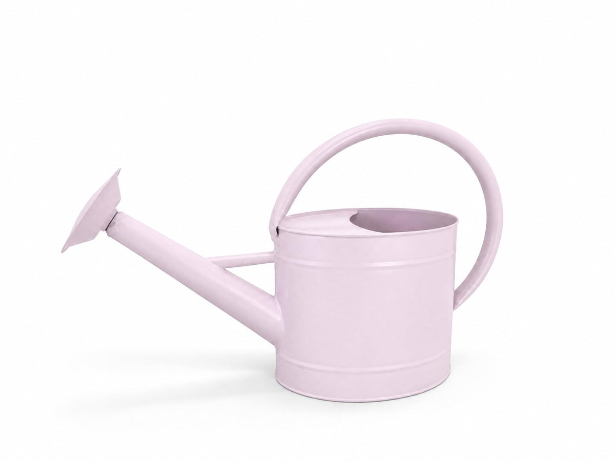 1 Gallon Watering Can, Metal Watering Can with Removable Spout, Farmhouse Galvanzied Water Can, Nice Plant Water Can for Indoor Use and for Outdoor Use