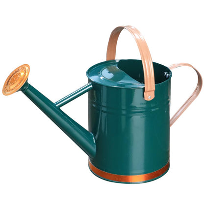 Metal Watering Can 1 Gallon for Outdoor Garden Plants, CGreen