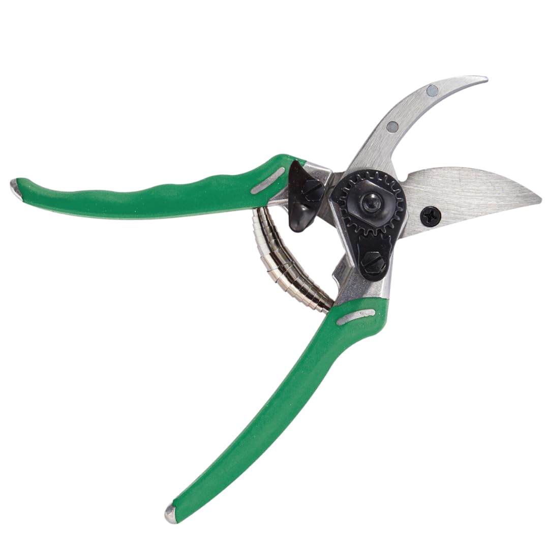 Dramm ColorPoint Stainless Steel Compact Garden Pruning Shears, Hand Pruner, Garden Clippers, with Heavy Duty Blade and Easy grip Handle, Green