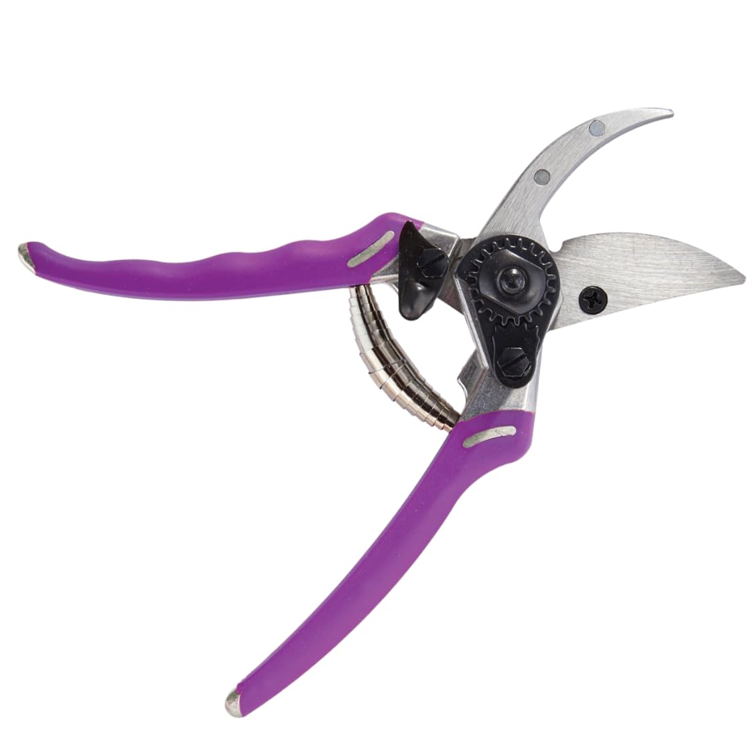 Dramm ColorPoint Stainless Steel Compact Garden Pruning Shears, Hand Pruner, Garden Clippers, with Heavy Duty Blade and Easy grip Handle, Green