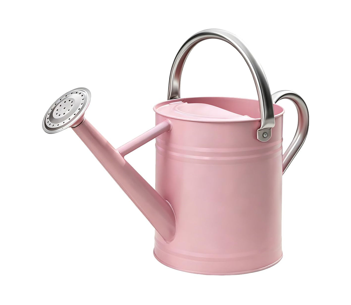 Metal Watering Can for Outdoor Plants, Watering Can Decor 1 Gallon (GB)