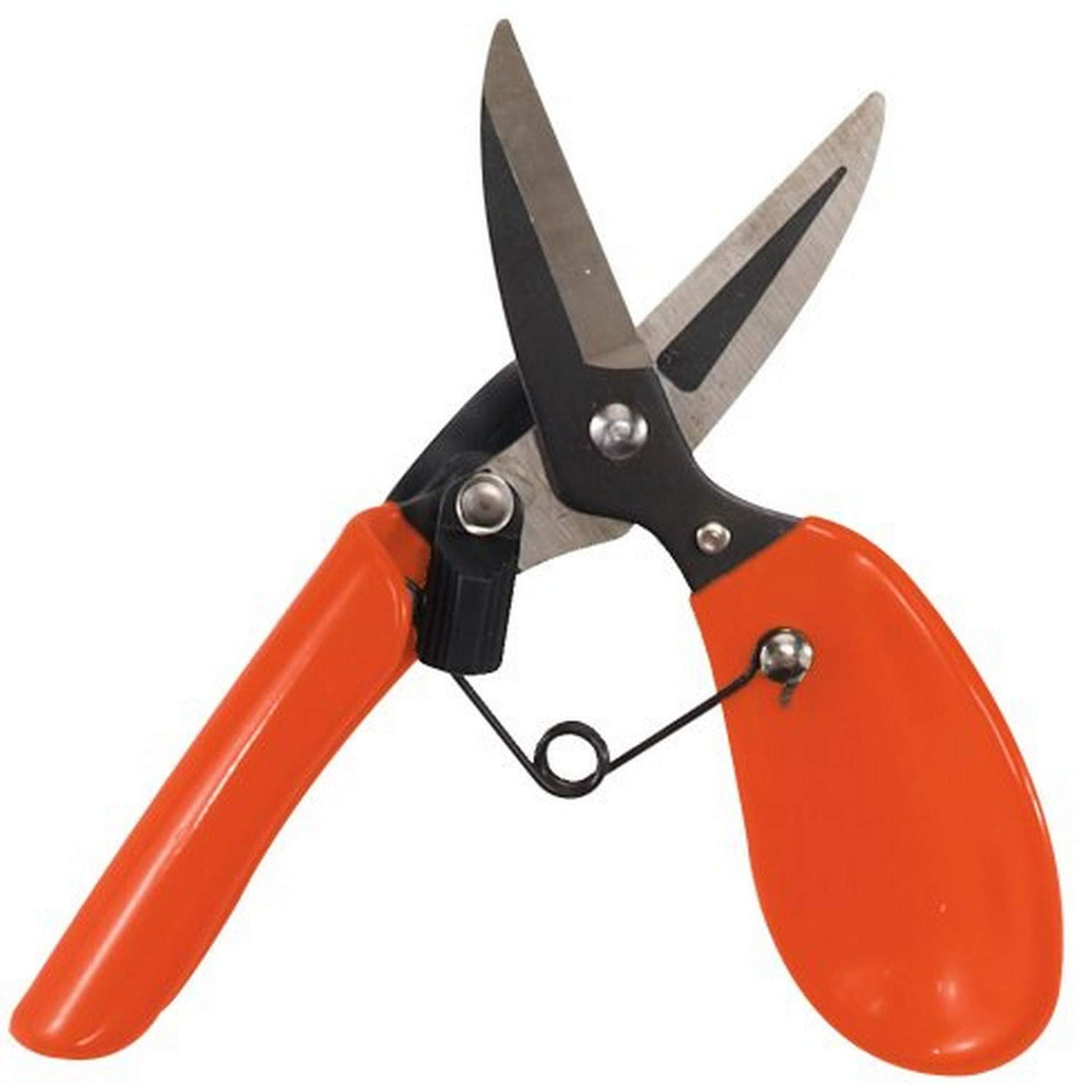 Dramm ColorPoint Stainless Steel Compact Garden Pruning Shears, Hand Pruner, Garden Clippers, with Heavy Duty Blade and Easy grip Handle, Green