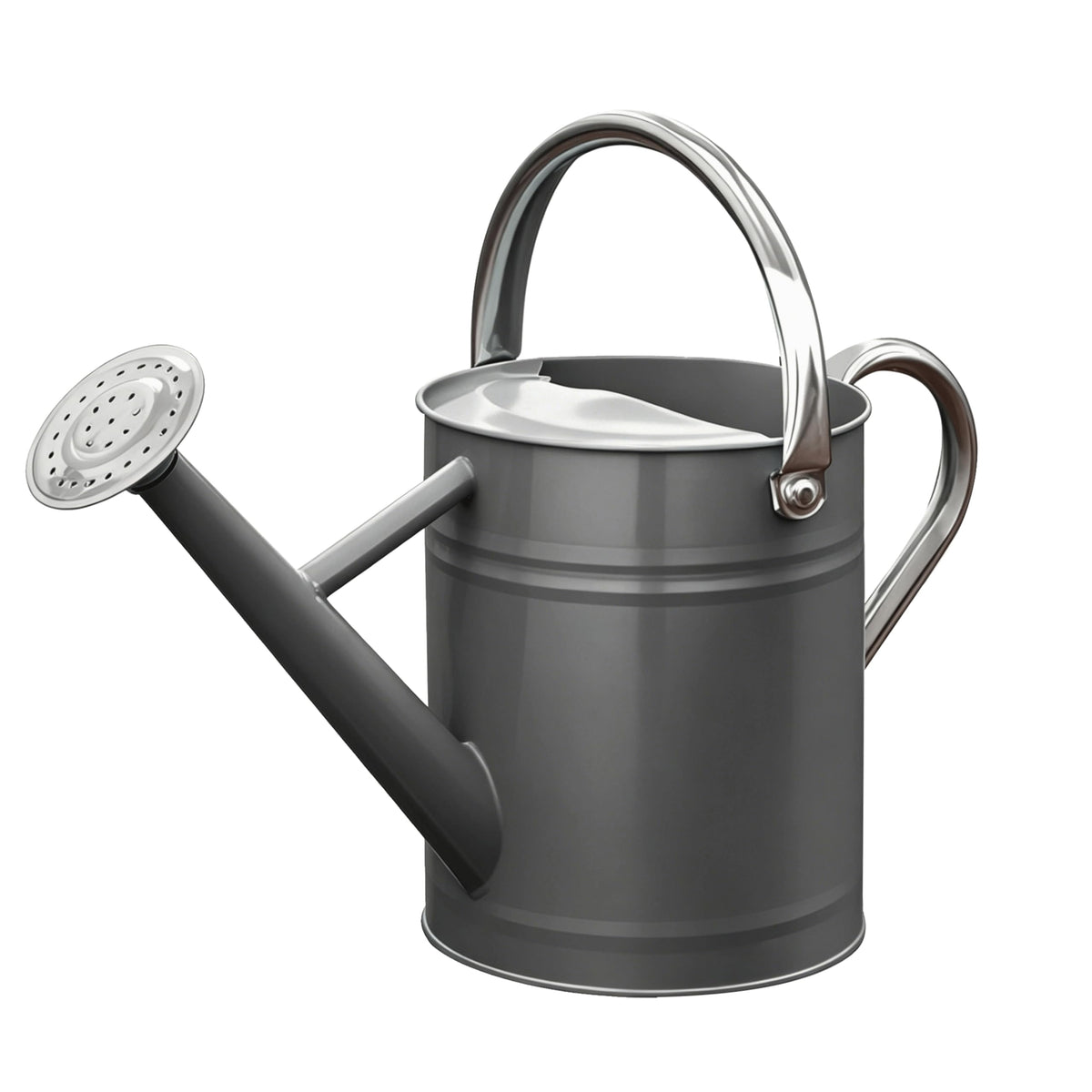Metal Watering Can for Outdoor Plants, Watering Can Decor 1 Gallon (Green)