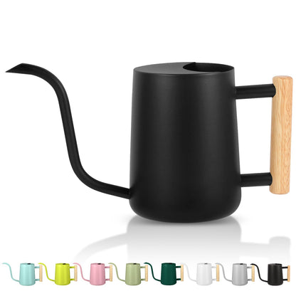 Watering Can Indoor Plants, 35oz Small Indoor Stainless Steel Metal Watering Can Modern Decorative Watering Pot with Long Spout for Indoor House Plant Bonsai Garden Flowers (Sage Green)