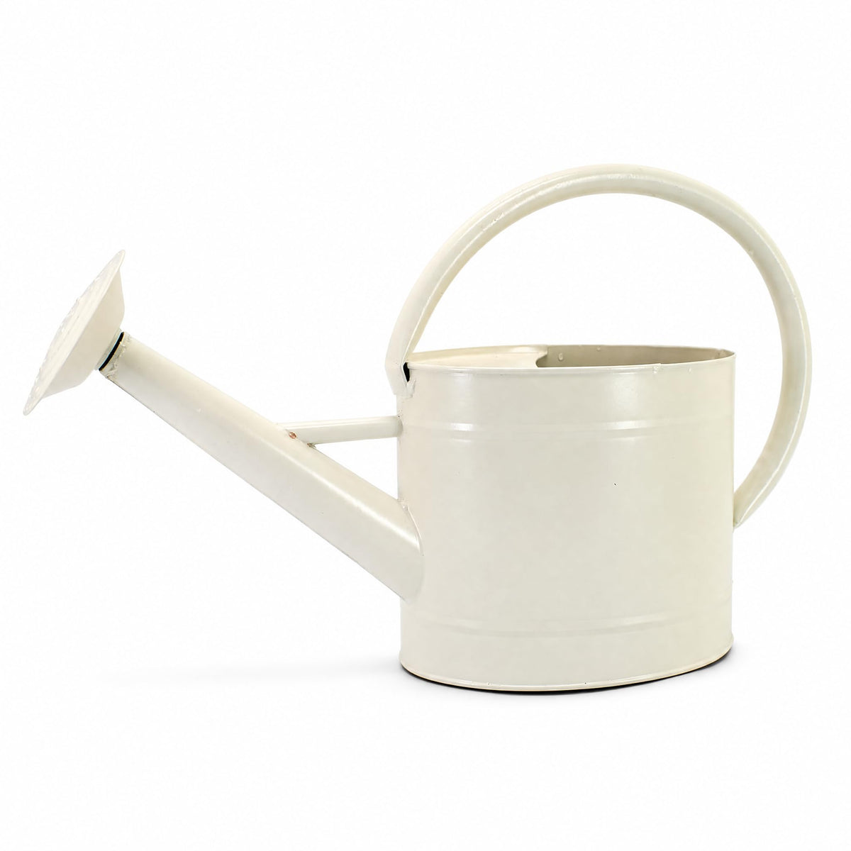 1 Gallon Watering Can, Metal Watering Can with Removable Spout, Farmhouse Galvanzied Water Can, Nice Plant Water Can for Indoor Use and for Outdoor Use