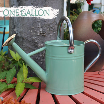 Metal Watering Can 1 Gallon for Outdoor Garden Plants, CGreen