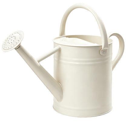 Metal Watering Can for Outdoor Plants, Watering Can Decor 1 Gallon (GB)