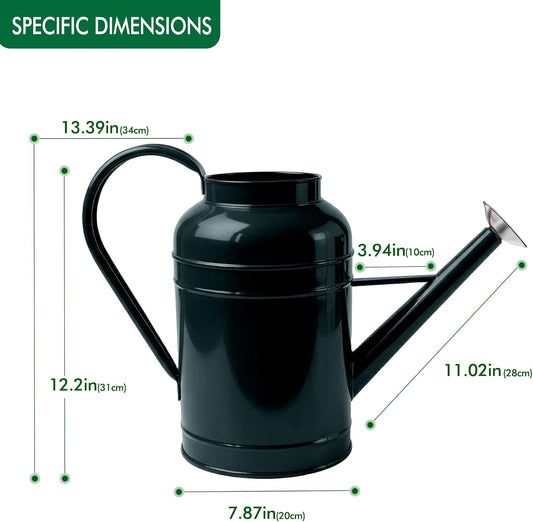2.3 Gallon Dark Green Metal Watering Can, Galvanized Watering Can for Outdoor Indoor Plants, Large Water Can for Plants and Garden Flower, Pure Color