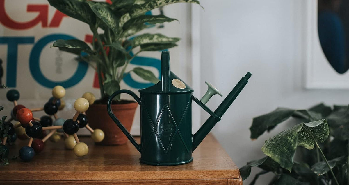 Indoor Plastic Watering Can | The HAWS The Bartley Burbler - Two Pint | Pot Waterer | Fine Spray Rose - Green