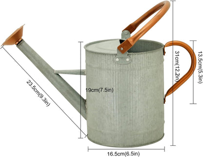 1 Gallon Watering Can, Metal Watering Can with Removable Spout, Farmhouse Galvanzied Water Can, Nice Plant Water Can for Indoor Use and for Outdoor Use