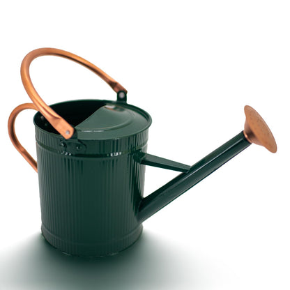 1 Gallon Watering Can, Metal Watering Can with Removable Spout, Farmhouse Galvanzied Water Can, Nice Plant Water Can for Indoor Use and for Outdoor Use