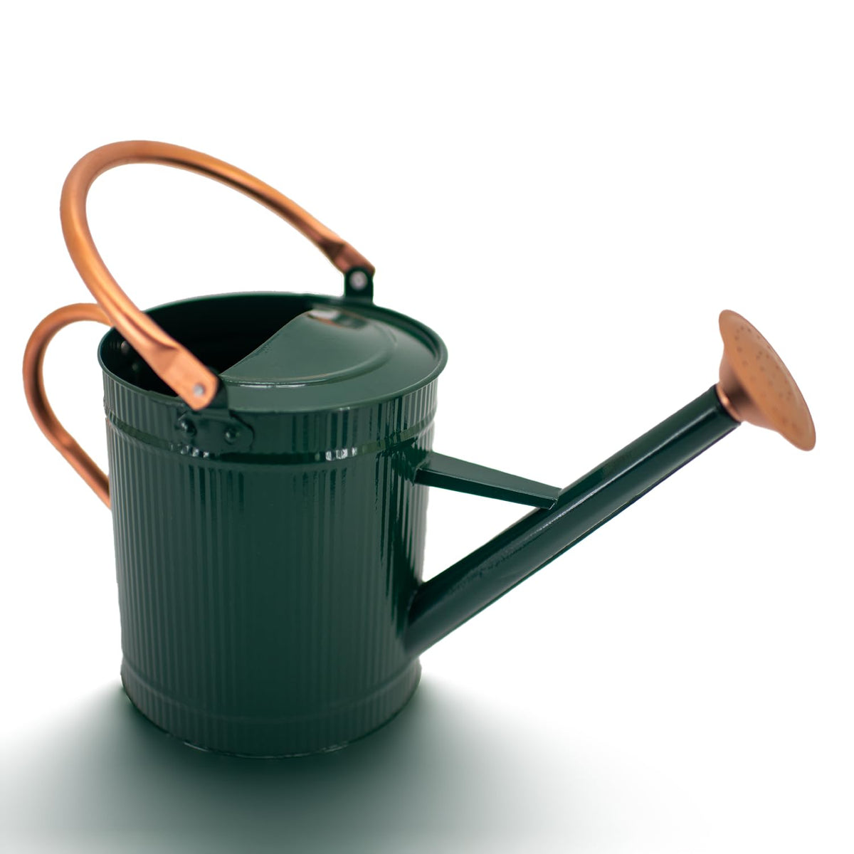 1 Gallon Watering Can, Metal Watering Can with Removable Spout, Farmhouse Galvanzied Water Can, Nice Plant Water Can for Indoor Use and for Outdoor Use