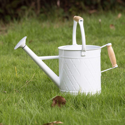 1 Gallon Watering Can, Metal Watering Can with Removable Spout, Farmhouse Galvanzied Water Can, Nice Plant Water Can for Indoor Use and for Outdoor Use