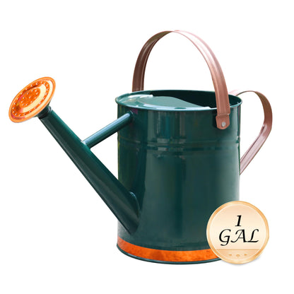 Metal Watering Can for Outdoor Plants, Watering Can Decor 1 Gallon (GB)