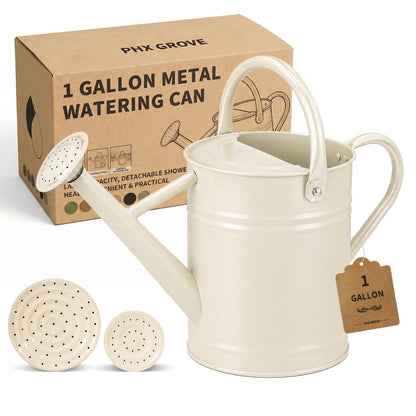 1 Gallon Metal Watering Can for Indoor Outdoor Plants, Cream Green